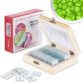 AmScope PS25 Prepared Microscope Slide Set